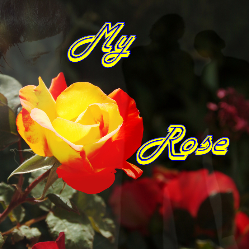 My Rose