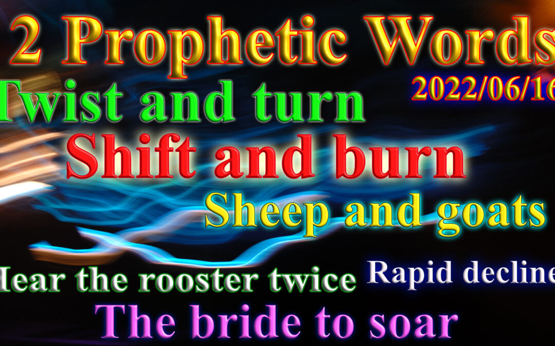 2 Words 2022-06-16 Twist and turn, sheep and goats