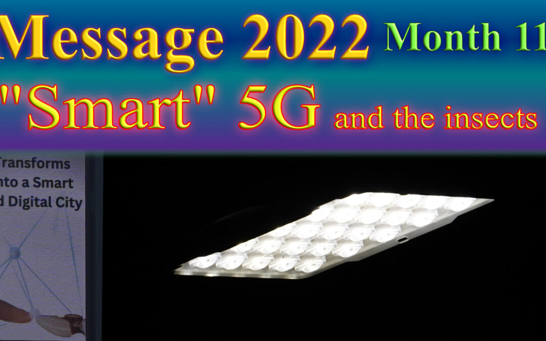 Message 2022/11 ″Smart″ 5G and the insects