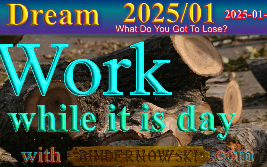 Dream 2025/01/26 Work while it is day