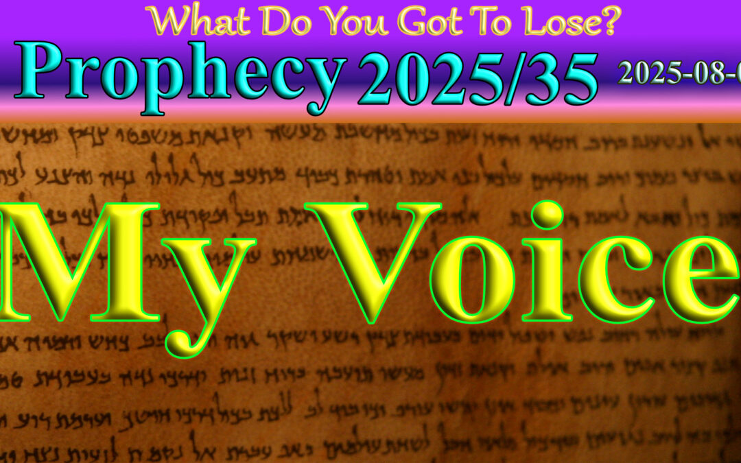 Word 2025/08/01 My voice