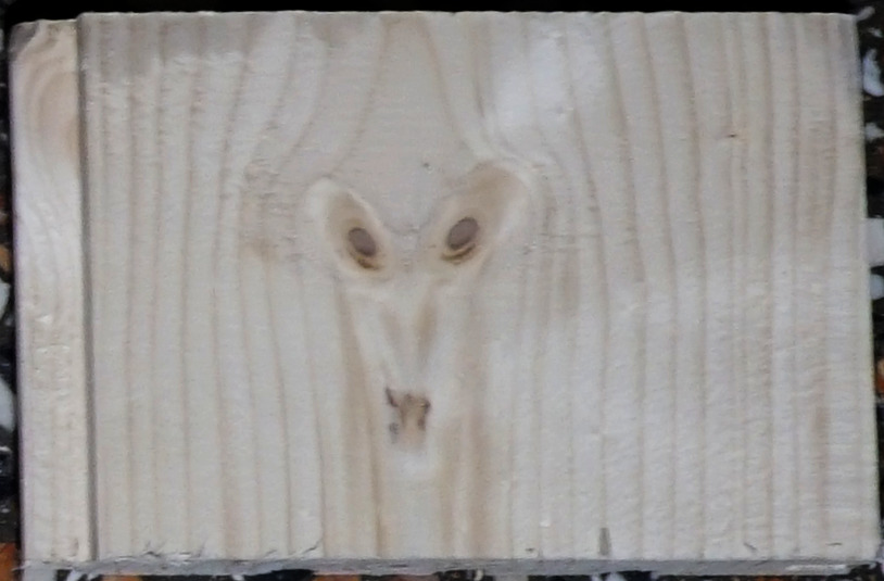 wood-goat