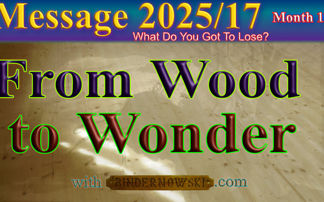 Message 2025/17 From Wood to Wonder