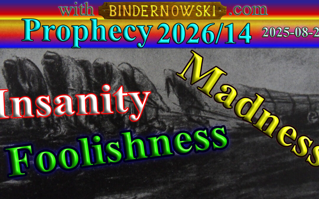 Word 2026/08/16 Insanity, Foolishness and Madness